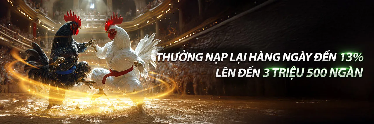 Đấu gà SV388 trực tiếp